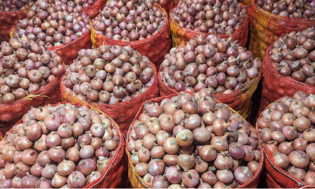 Onion Prices Surge Tk 40/kg in One Week Amid Supply Crunch