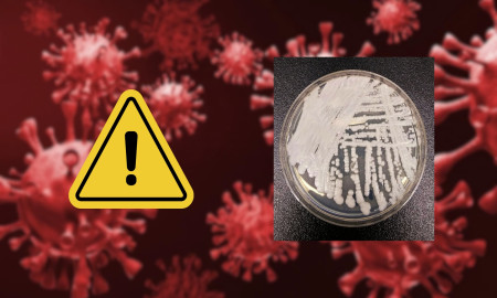 ICDDR,b Study: Deadly Fungal 'Superbug' Spreading in Bangladesh NICUs