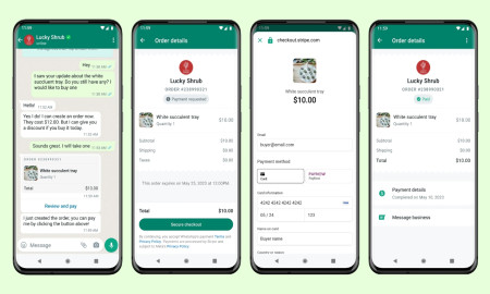 Now send money directly through WhatsApp