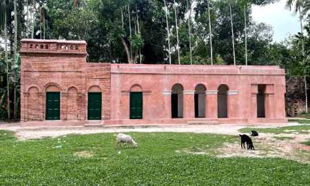 ঈশা খাঁর স্মৃতিবিজড়িত জঙ্গলবাড়ি দুর্গে খননকাজে মিলছে ইতিহাসের স্তরভাঙা চিহ্ন