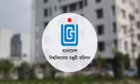 বিশ্ববিদ্যালয়ে ক্লাস নিতে পারবেন ইউজিসি সদস্যরা