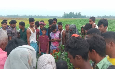 পাটক্ষেতে পড়ে ছিল অজ্ঞাত নারীর বিকৃত মরদেহ