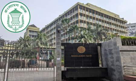 সরকারি ৬ ব্যাংকে চাকরি, পদ ৬০৮, আবেদন করুন দ্রুতই