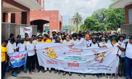 মৌমাছি খাদ্য নিরাপত্তায় গুরুত্বপূর্ণ ভূমিকা রাখে: শেকৃবি অধ্যাপক