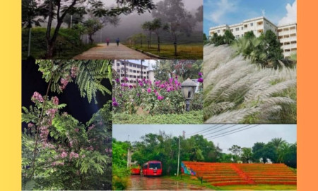 ষড়ঋতুর ছোঁয়ায় জীবন্ত এক ক্যাম্পাস