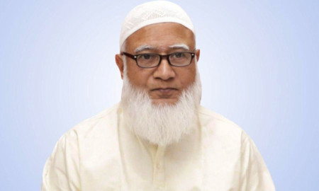 ‘নির্বাচন বিষয়ে আমরা প্রধান উপদেষ্টাকে বাধ্য করতে চাই না’