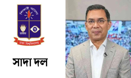 তারেক রহমান খালাস পাওয়ায় প্রমাণিত হাসিনার আমলের সব মামলা মিথ্যা