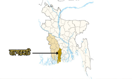 বাগেরহাটে নেশার টাকা না পেয়ে মাকে হত্যার অভিযোগ