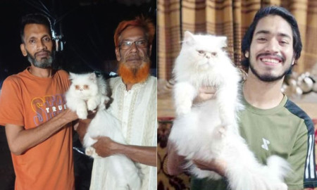 পোষা বিড়ালের খোঁজে মাইকিংয়ের পর মিলল সন্ধান, পুরস্কার পেলেন সন্ধানদাতা