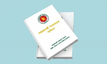 সংবিধান সংস্কার প্রস্তাবনায় ‌‘লিঙ্গ পরিচয়’ নিয়ে ১৮০ শিক্ষকের উদ্বেগ 