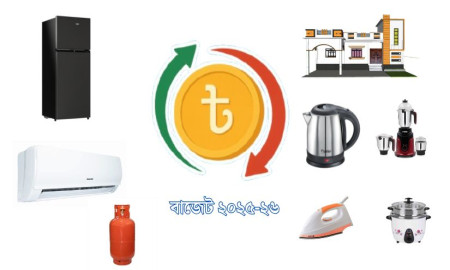 এবারের বাজেটে বাড়তে পারে যেসব পণ্যের দাম