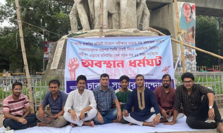 ১১ দফা দাবিতে ঢাকা বিশ্ববিদ্যালয়ে অবস্থান ধর্মঘট চাকরিপ্রত্যাশীদের