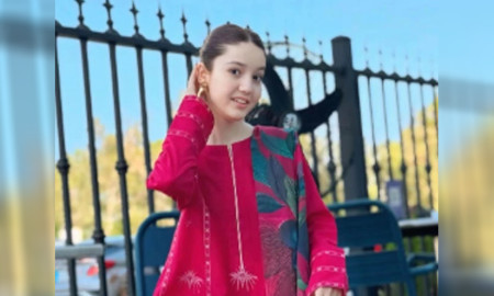 ১৭ বছর বয়সী টিকটক তারকাকে গুলি করে হত্যা