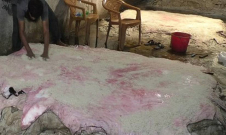 লবণশ্রমিকের মজুরি বৃদ্ধিতে দুশ্চিন্তায় রাজারহাটের চামড়া ব্যবসায়ীরা