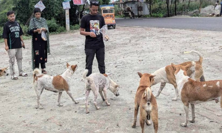 ঈদের ছুটিতে ক্ষুধার্ত প্রাণীদের পাশে ববি শিক্ষার্থীরা