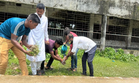 বিশ্ব পরিবেশ দিবস উপলক্ষে বাউফলে ছাত্রদলের বৃক্ষরোপণ কর্মসূচি