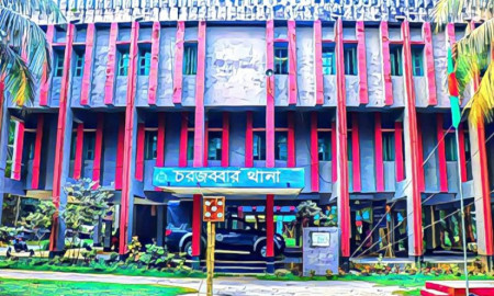 নানার বাড়িতে এসে পুকুরে ডুবে ভাই-বোনের মৃত্যু