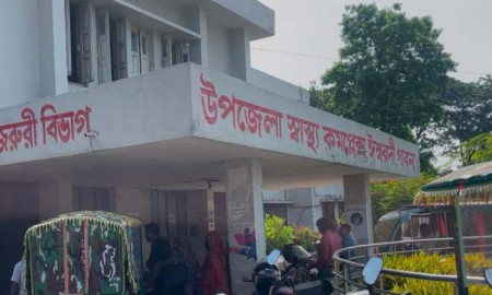 ঈশ্বরদীতে কাভার্ডভ্যানের চাপায় প্রাণ গেল মা-মেয়েসহ ৩ জনের