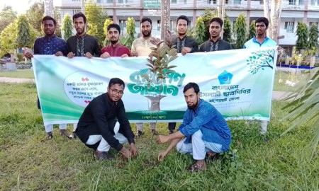 পিসি কলেজে ছাত্রশিবিরের বৃক্ষরোপণ কর্মসূচি