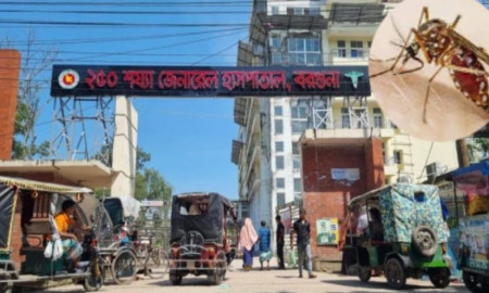 বরগুনায় ডেঙ্গু পরিস্থিতি নিয়ন্ত্রণহীন, বাড়ছে মৃত্যুর মিছিল