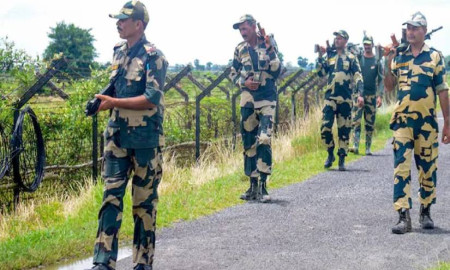 আখাউড়া সীমান্তে বাংলাদেশিদের ১০টি গরু নিয়ে গেছে বিএসএফ
