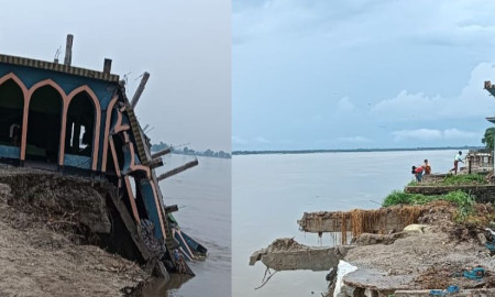 নদী ভাঙনের আতঙ্কে দিশেহারা চর আষাড়িয়াদহ ও আলাতুলির হাজারো মানুষ
