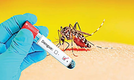 দেশে একদিনে ডেঙ্গু আক্রান্ত ২৩৪ জন