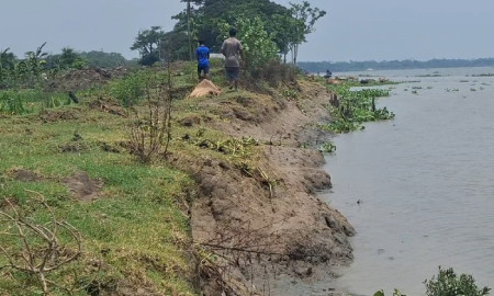 নদীগর্ভে শত শত ঘরবাড়ি ও ফসলি জমি, আতঙ্কে ২০ হাজার মানুষ