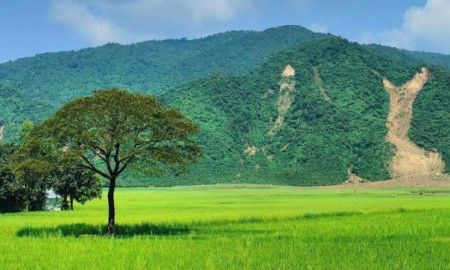 প্রকৃতির কল্পনায় কমে মানসিক চাপ