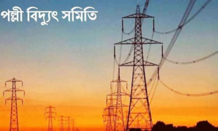 পল্লী বিদ্যুৎ সমিতিতে চাকরি, আবেদন নির্ধারিত ফরমে