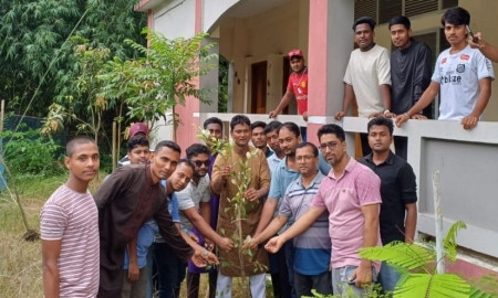 চাঁদপুর ছাত্রদলের উদ্যোগে পালাখালে বৃক্ষরোপণ কর্মসূচি