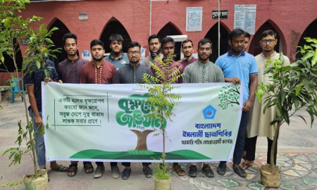 ক্যাম্পাস সবুজায়নে সোহরাওয়ার্দী কলেজে ছাত্রশিবিরের বৃক্ষরোপণ কর্মসূচি