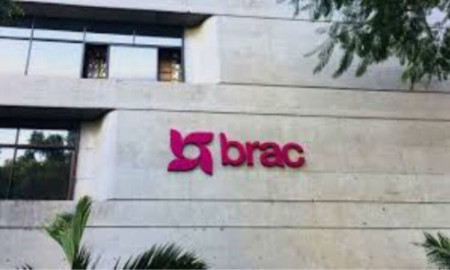 ব্র্যাক নেবে সিনিয়র প্রজেক্ট অফিসার, আবেদন অনলাইনে