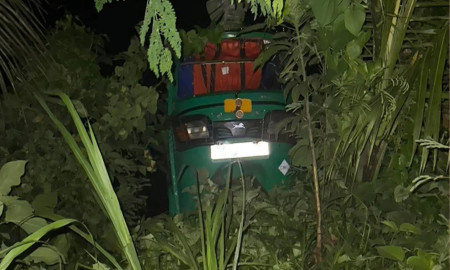 শিয়ালের সঙ্গে ধাক্কায় সিএনজি উল্টে স্ত্রীর মৃত্যু, আহত স্বামী