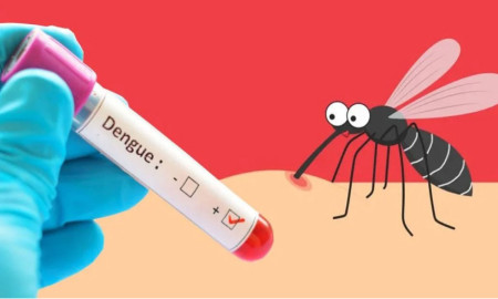 ২৪ ঘণ্টায় ডেঙ্গুতে মৃত্যু ২, আক্রান্ত কত?