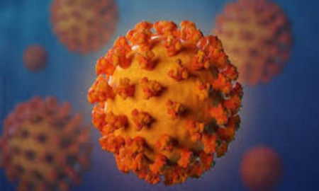 ২৪ ঘণ্টায় করোনায় মৃত্যু বেড়েছে