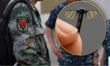 মশার মতো নজরদারি ড্রোন তৈরি করল চীন