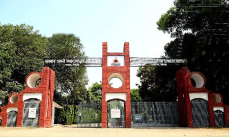 মাভাবিপ্রবিতে প্রথম ধাপের ভর্তি শেষ, ১৩৮ আসন ফাঁকা 