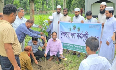 ইবিতে খেলাফত ছাত্র মজলিসের বৃক্ষরোপণ কর্মসূচি পালন