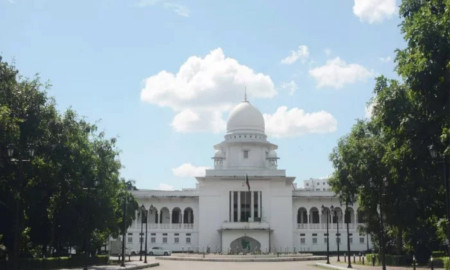 মুরাদনগরের ওই নারীর ছবি-ভিডিও অনলাইন থেকে সরানোর নির্দেশ