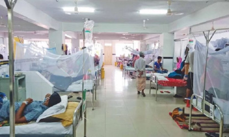 ডেঙ্গু আক্রান্তে হাসপাতালে ভর্তি ২০৪