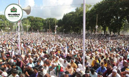 জনসভা থেকে ঘোষণা হলো জামায়াতের ৩৩ এমপি প্রার্থীর নাম