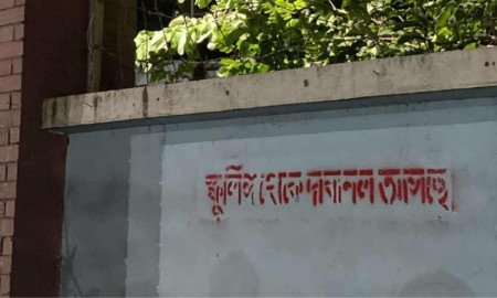 ঢাবির দেয়ালে দেয়ালে লেখা ‘স্ফুলিঙ্গ থেকে দাবানল আসছে’, শিক্ষার্থীদের মাঝে কৌতূহল