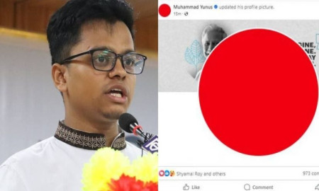 ফেসবুক প্রোফাইল লাল কেন করা হয়েছিল, আইডিয়া কার?