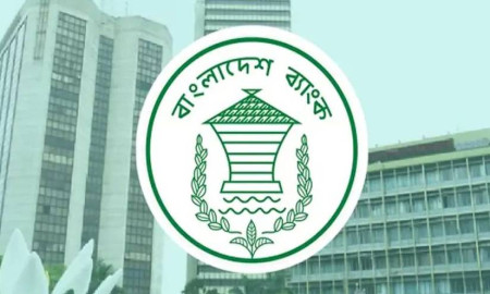 জুলাই যোদ্ধাদের জন্য বিশেষ তহবিল করছে বাংলাদেশ ব্যাংক