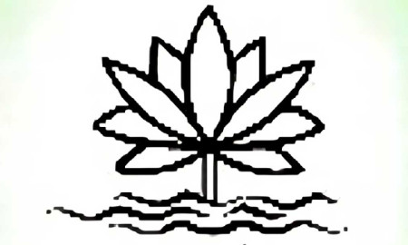 প্রতীকের তালিকায় শাপলা থাকছে না, ইসির নীতিগত সিদ্ধান্ত