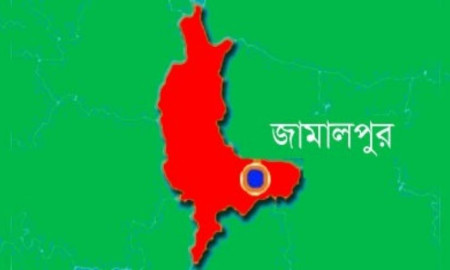 জামালপুর সীমান্তে বিএসএফের পুশ-ইন, চার নারীসহ ৭ বাংলাদেশি আটক