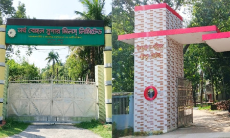 দেশের উষ্ণতম এলাকায় দুই প্রতিষ্ঠানের দ্বন্দ্বে বৃক্ষরোপণে বাধা