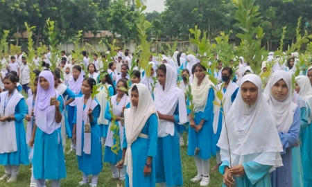 নাটোরে ১০ হাজার শিক্ষার্থীর হাতে গ্রীন ভয়েসের চারাগাছ