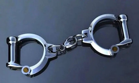 মিরপুরে ডাকাতি করে পালানোর সময় সাবেক সেনা সদস্যসহ গ্রেফতার ৪